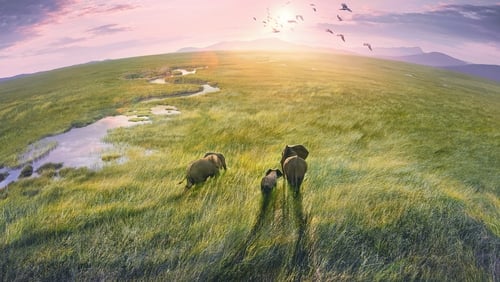 Planet Earth III 1.Sezon 1.Bölüm izle